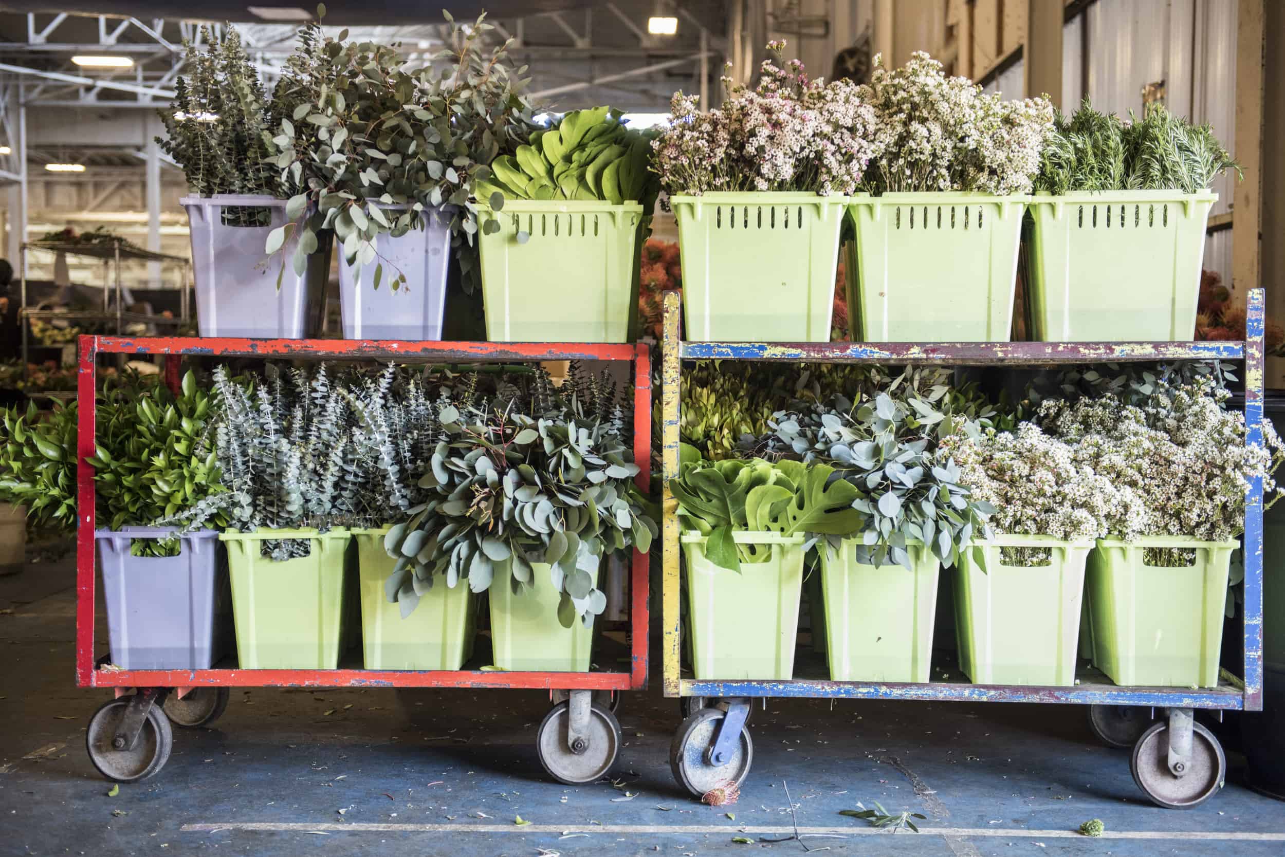 Ypo Christina Stembel Grows Farmgirl Flowers Into Blossoming Ypo Christina Stembel Grows Farmgirl