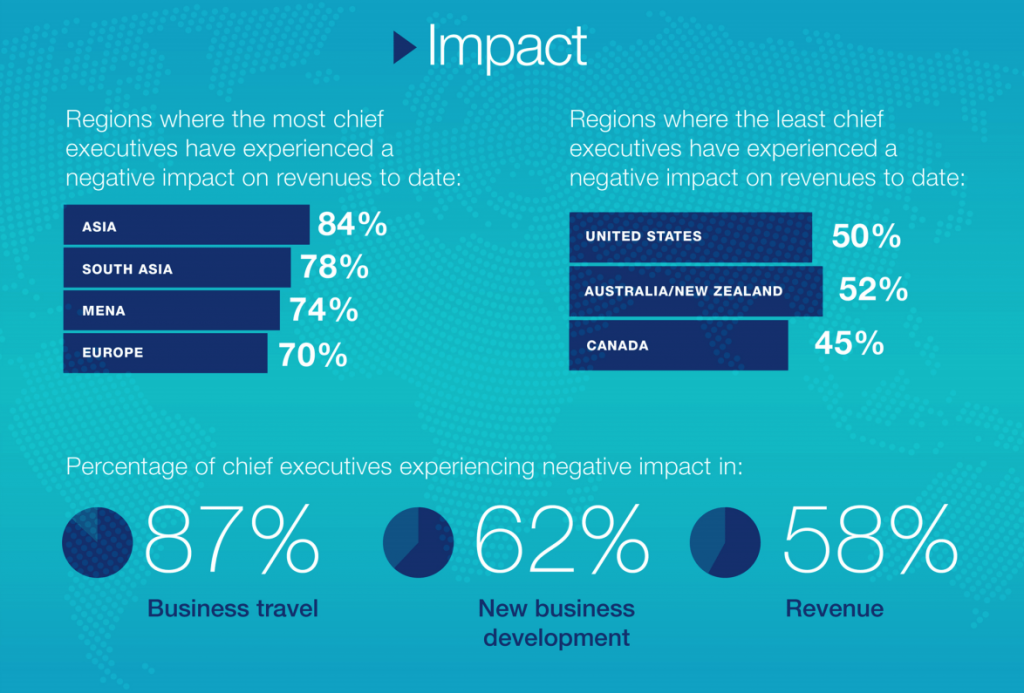YPO Chief Executive Global Survey infographic
