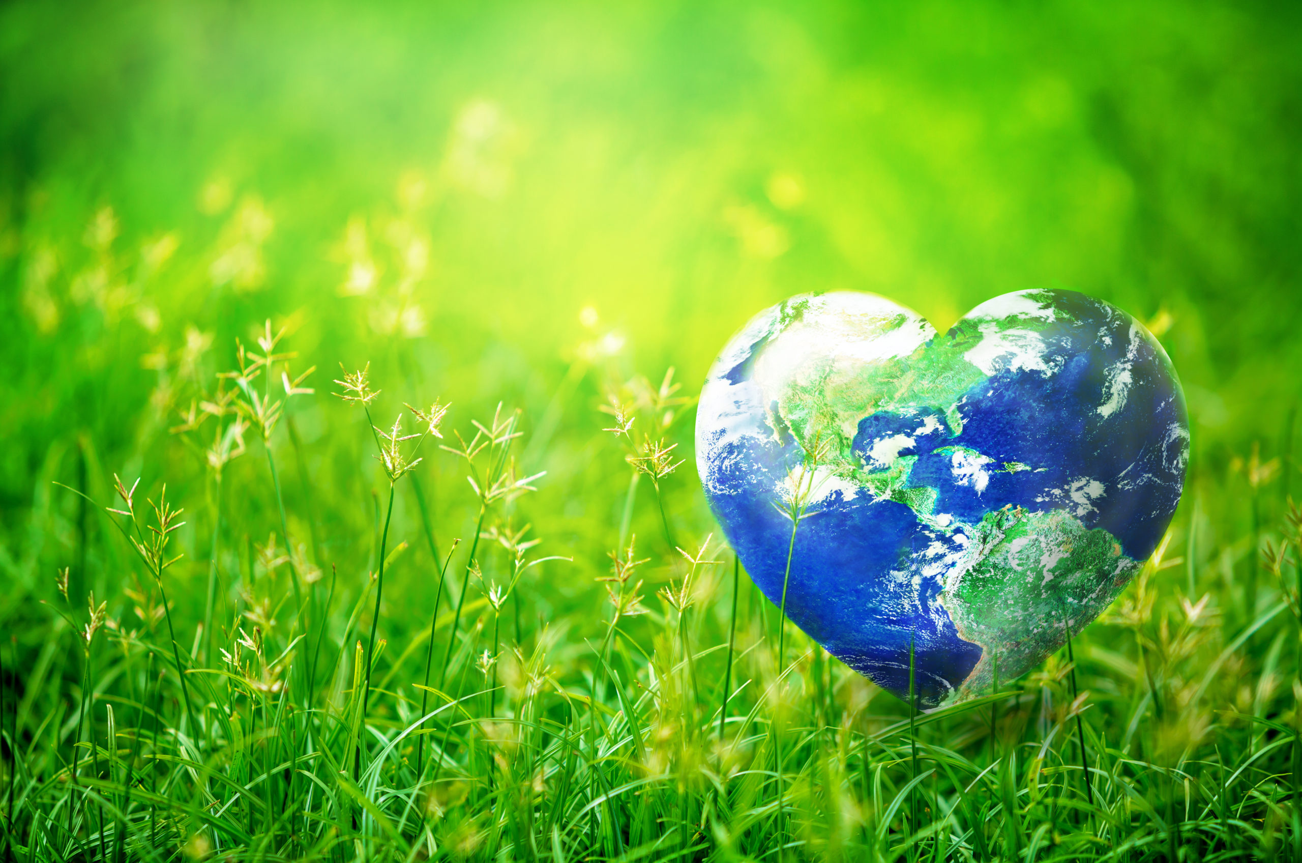 YPO Célébration du Jour de la Terre 2021 les PDG équilibrent les