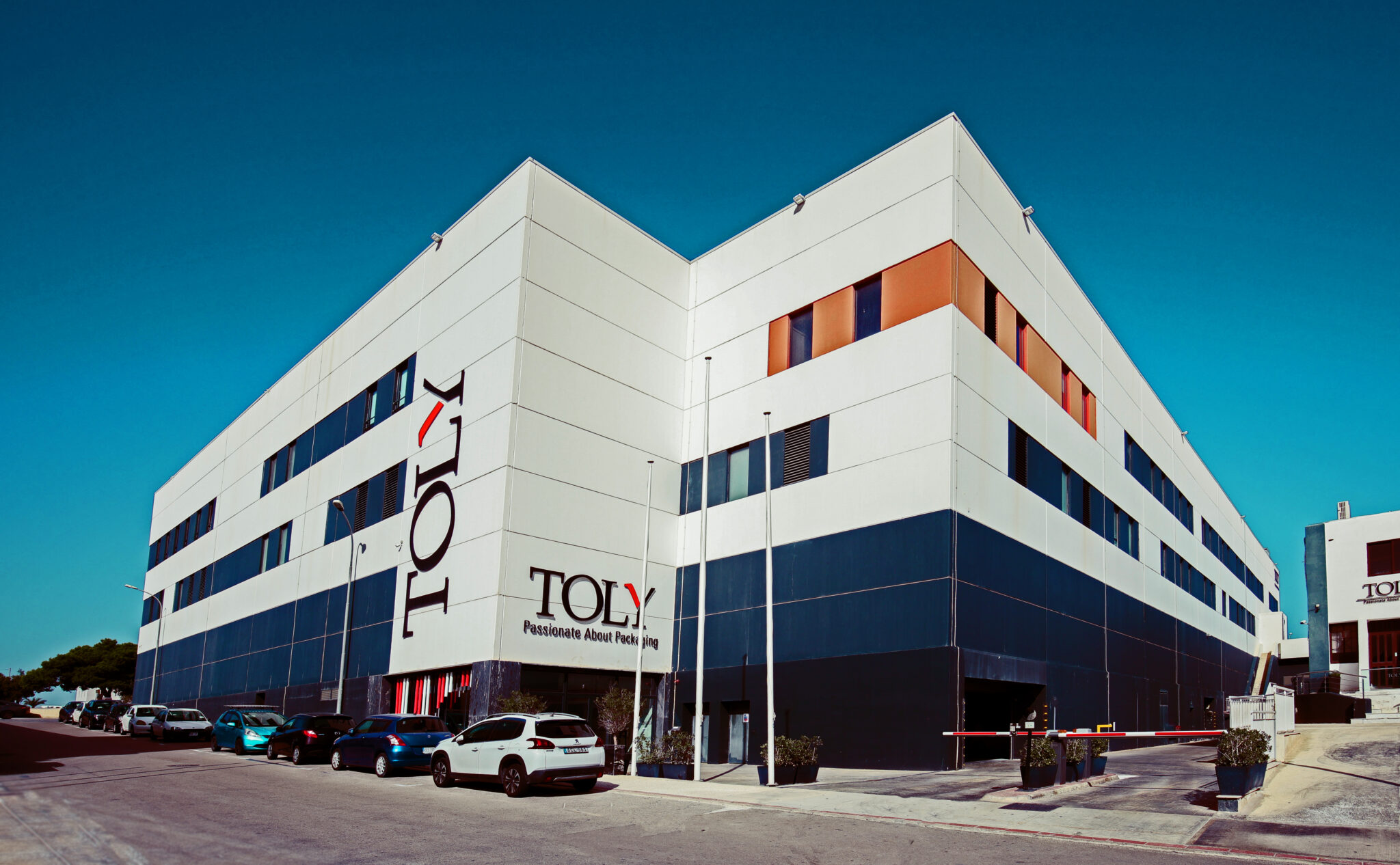 Toly Factory YPO | Adapting to Thrive: The Agile Journey of CEO Andy Gatesy